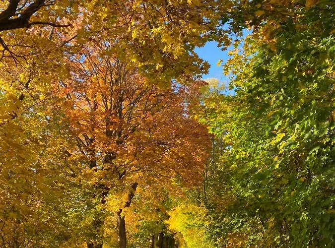 Hygge Bratrouchov Jablonec nad Jizerou